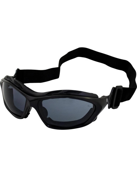 Gafas de sol Birdz Canopy para motocicleta con acolchado Gafas de sol Birdz Canopy para motocicleta con acolchado