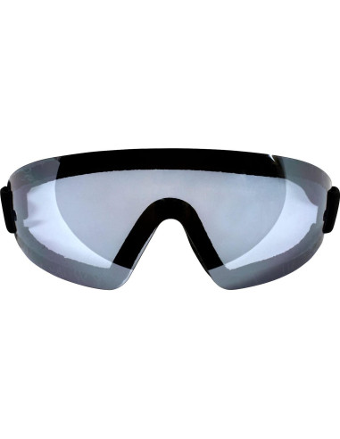 Gafas de Protección Birdz Eyewear Wings para Paracaidismo