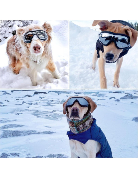 Gafas de Sol para Perros NAMSAN UV400, 2 Piezas, Medianas a Grandes Gafas de Sol para Perros NAMSAN UV400, 2 Piezas, Medianas a Grandes