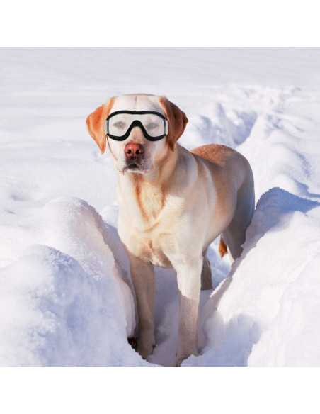 Gafas de Sol para Perros NAMSAN UV400, 2 Piezas, Medianas a Grandes Gafas de Sol para Perros NAMSAN UV400, 2 Piezas, Medianas a Grandes