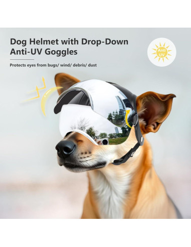 Casco para Perro BillionChains con Gafas UV Ajustables 3.4kg-5.7kg