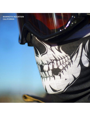 Máscara Facial de Motocicleta Indie Ridge Skull - Invierno