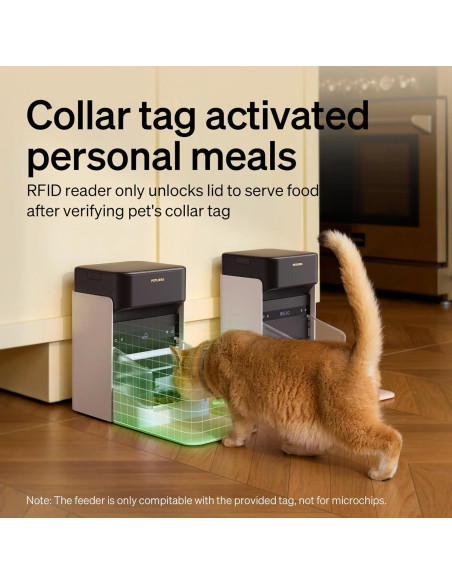 Alimentador Automático PETLIBRO 3L Wi-Fi Gato RFID