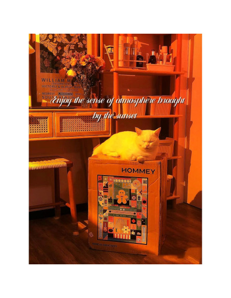 Lámpara de Atardecer LED JIMEI SUNLAMP-P 10x10 cm