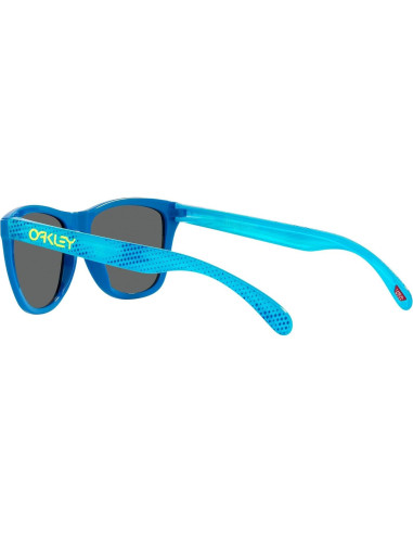 Gafas de sol Oakley Frogskins 55mm Sapphire Prizm Negro