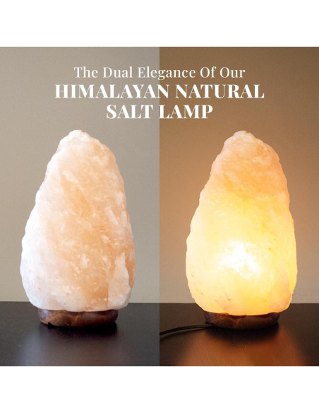 Lámpara de Sal del Himalaya POHS 20-25 cm Regulable con Madera