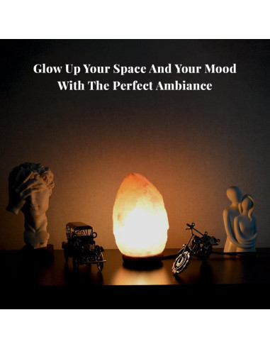 Lámpara de Sal del Himalaya POHS 20-25 cm Regulable con Madera