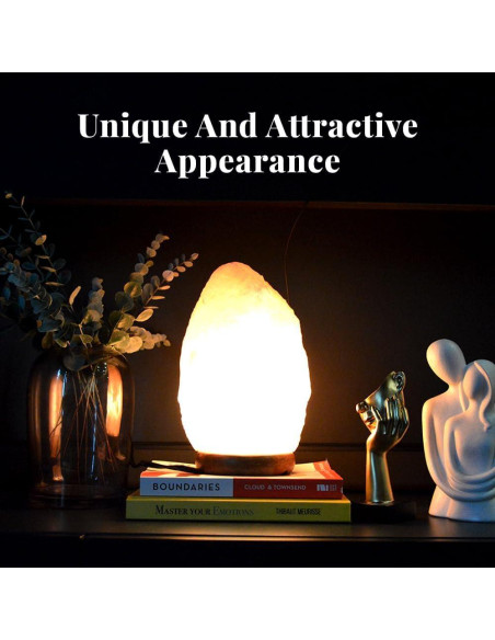 Lámpara de Sal del Himalaya POHS 20-25 cm Regulable con Madera