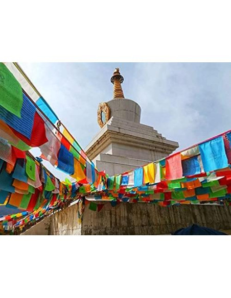 Banderas de Oración Tibetanas Aolamegs 60pcs 25.4x27.9cm