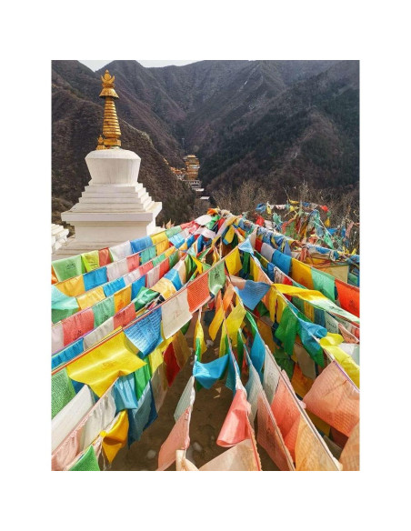 Banderas de Oración Tibetanas Aolamegs 60pcs 25.4x27.9cm