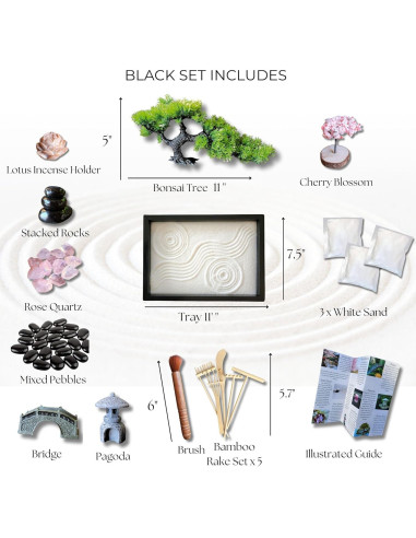 Jardín Zen para Escritorio Earthy Blendz 28x19 cm Negro