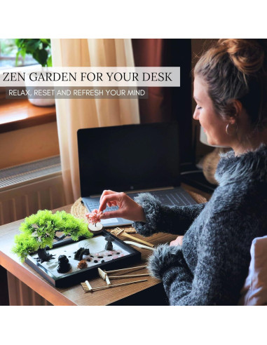 Jardín Zen para Escritorio Earthy Blendz 28x19 cm Negro