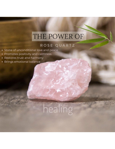 Jardín Zen para Escritorio Earthy Blendz 28x19 cm Negro