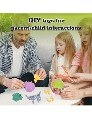 Modelo de Cráneo Humano SimCoach 15 Partes Anatomía Educativa