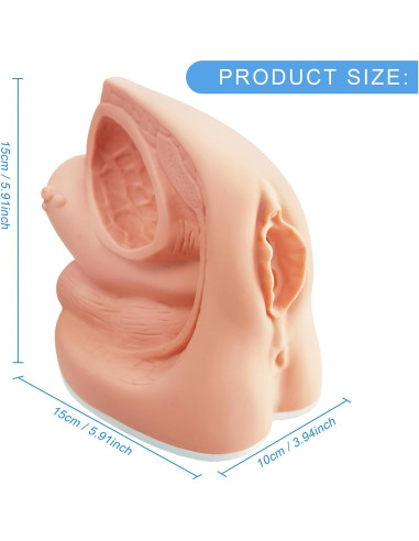 Modelo de Cateterismo Femenino MediTrainer 22.5x15.5 cm