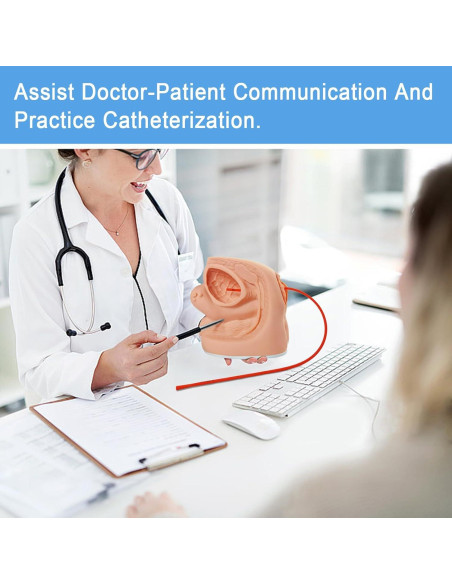 Modelo de Cateterismo Femenino MediTrainer 22.5x15.5 cm