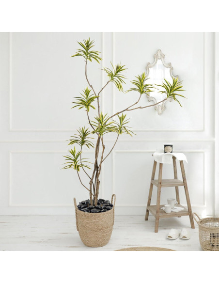 Piedras Negras Pulidas FANTIAN 0.91 kg para Jardín y Acuario Piedras Negras Pulidas FANTIAN 0.91 kg para Jardín y Acuario