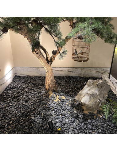 Piedras Negras Pulidas FANTIAN 0.91 kg para Jardín y Acuario