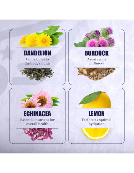 Lymph MD Suplemento Linfático 60 Cápsulas - Botanicos Naturales