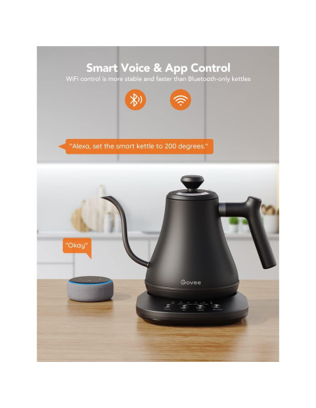 Hervidor Eléctrico Govee H7170 0.8L Control WiFi 1200W