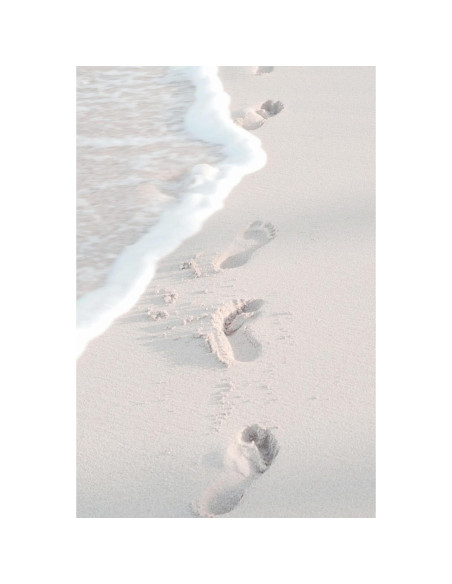 Arena Blanca Natural de Playa Alchemy Garden 2.27 kg