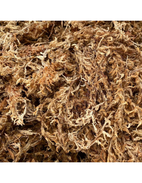 Musgo Sphagnum Mejor-Gro 250ml Natural para Cultivo de Plantas