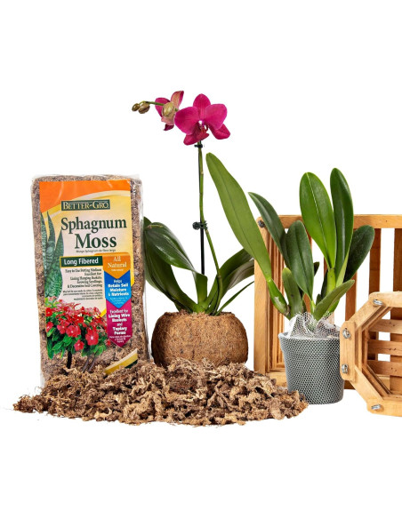 Musgo Sphagnum Mejor-Gro 250ml Natural para Cultivo de Plantas