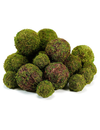 Conjunto de 18 Bolas de Musgo Decorativas BYHER - Rellenos para Tazones