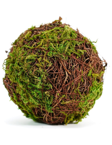 Conjunto de 18 Bolas de Musgo Decorativas BYHER - Rellenos para Tazones