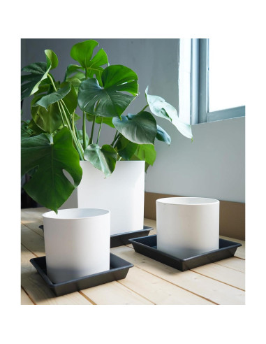 Plato Cuadrado para Plantas 15 cm NIMYAU - Paquete de 5