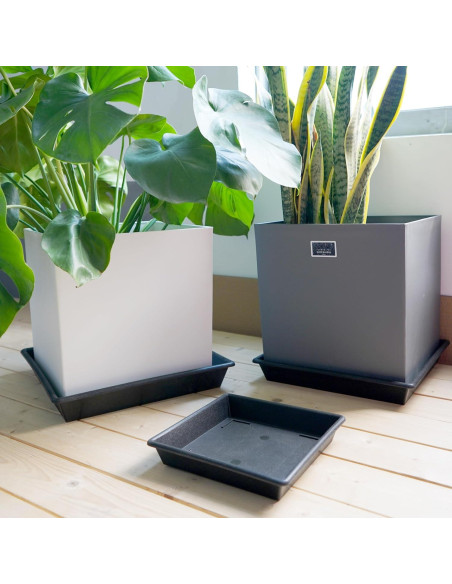 Plato Cuadrado para Plantas 15 cm NIMYAU - Paquete de 5