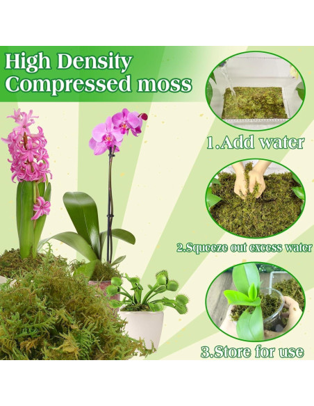 Musgo Verde Natural Halatool 170g para Plantas de Interior