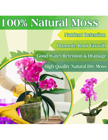 Musgo Verde Natural Halatool 170g para Plantas de Interior