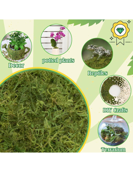 Musgo Verde Natural Halatool 170g para Plantas de Interior