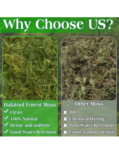 Musgo Verde Natural Halatool 170g para Plantas de Interior