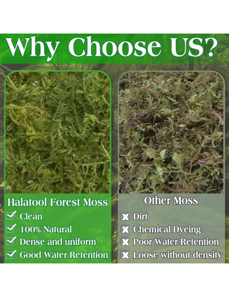 Musgo Verde Natural Halatool 170g para Plantas de Interior
