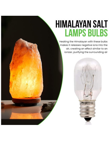 Bombillas Incandescentes T7 15W E12 para Lámparas de Sal - Paquete de 6