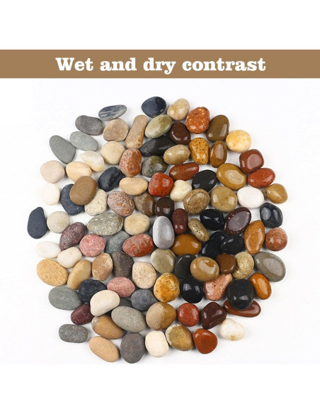 Piedras de Río Naturales 2.27 kg 2.54-5.08 cm para Jardinería Piedras de Río Naturales 2.27 kg 2.54-5.08 cm para Jardinería