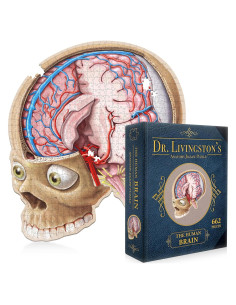 Rompecabezas de Anatomía del Cerebro Humano Genius Games - 27.18x21.59 cm