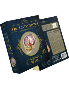 Rompecabezas de Anatomía del Cerebro Humano Genius Games - 27.18x21.59 cm 2