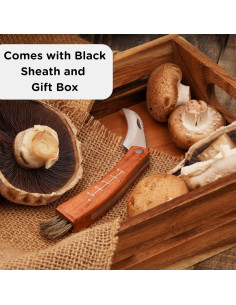 Cuchillo Plegable para Recolección de Setas Wrenbury 7.5 cm 2