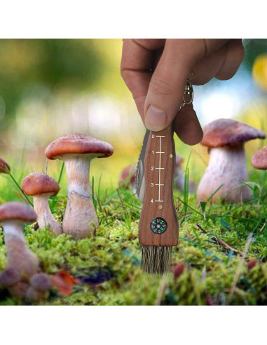 Cuchillo Plegable de Champiñones CABUGE con Cepillo y Afilador