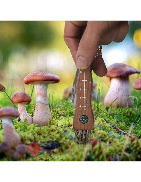 Cuchillo Plegable de Champiñones CABUGE con Cepillo y Afilador