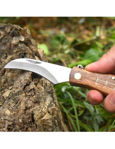 Cuchillo Plegable de Champiñones CABUGE con Cepillo y Afilador