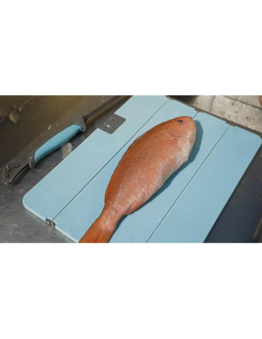 Tabla de Cortar Plegable Toadfish XL con Afilador - Verde