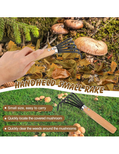 Kit de Recolección de Hongos Windspeed - 6 Piezas con Bolsa y Cuchillo