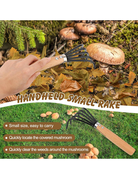 Kit de Recolección de Hongos Windspeed - 6 Piezas con Bolsa y Cuchillo