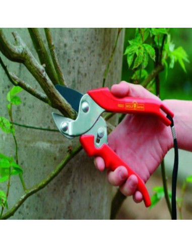 Tijera de Yunque WOLF Garten RS22 para Ramas Leñosas