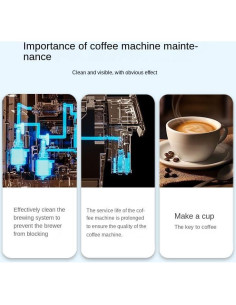 Tabletas de Limpieza DORTHEA para Cafeteras - Paquete de 8 2