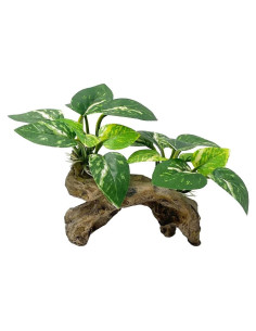 Decoración para Acuarios Smoothedo-Pets Tipo C Ecológica